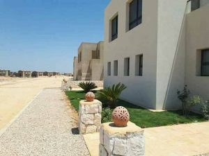 رقم الشركة المالكه بقرية ازها